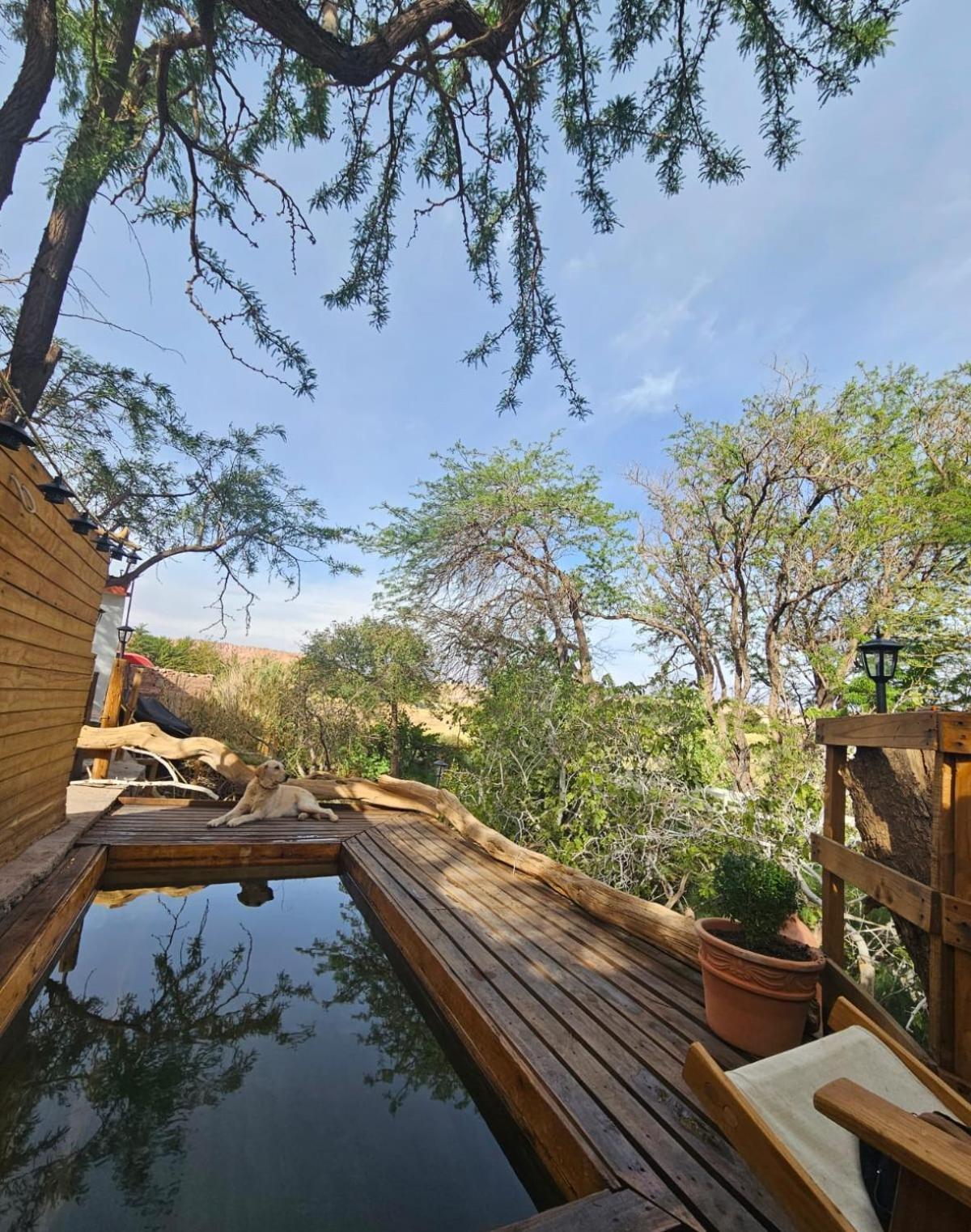 Anka Lodge Quitor ซานเปโดร เด อาตากามา ภายนอก รูปภาพ