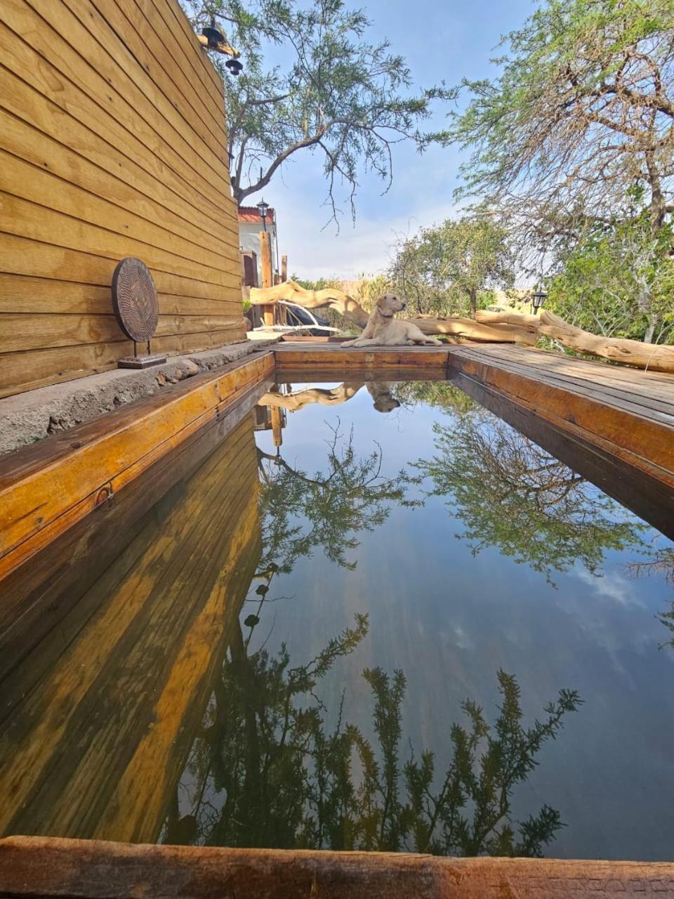 Anka Lodge Quitor ซานเปโดร เด อาตากามา ภายนอก รูปภาพ
