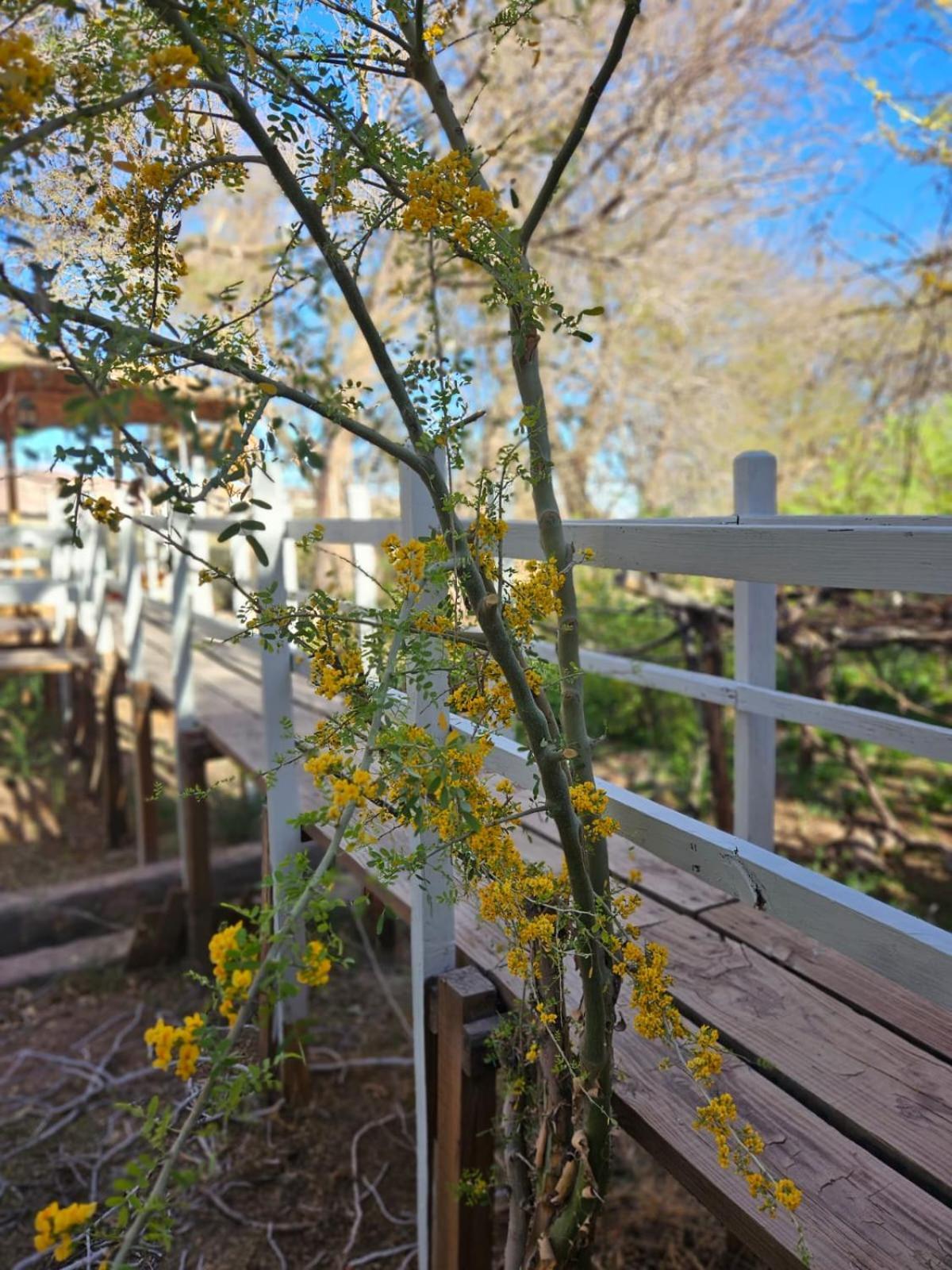 Anka Lodge Quitor ซานเปโดร เด อาตากามา ภายนอก รูปภาพ